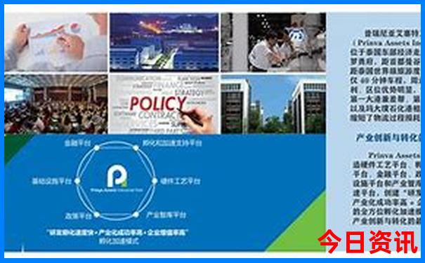 2025全流程年新全流程奥入口正版全新查询深度最新动态-2025全年资料免费大全